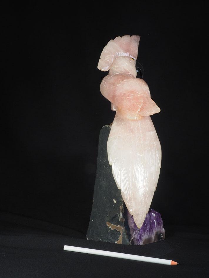 289 Oiseau